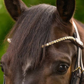 Browband Shine X-Line Brown/Toffee Browband Shine X-Line Brown/Toffee
