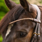 Browband Shine X-Line Light Pink Browband Shine X-Line Light Pink