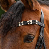 Browband Polo X-Line Black/Beige Browband Polo X-Line Black/Beige