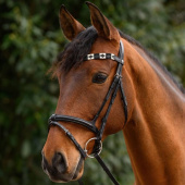 Browband Polo X-Line Black/Beige Browband Polo X-Line Black/Beige