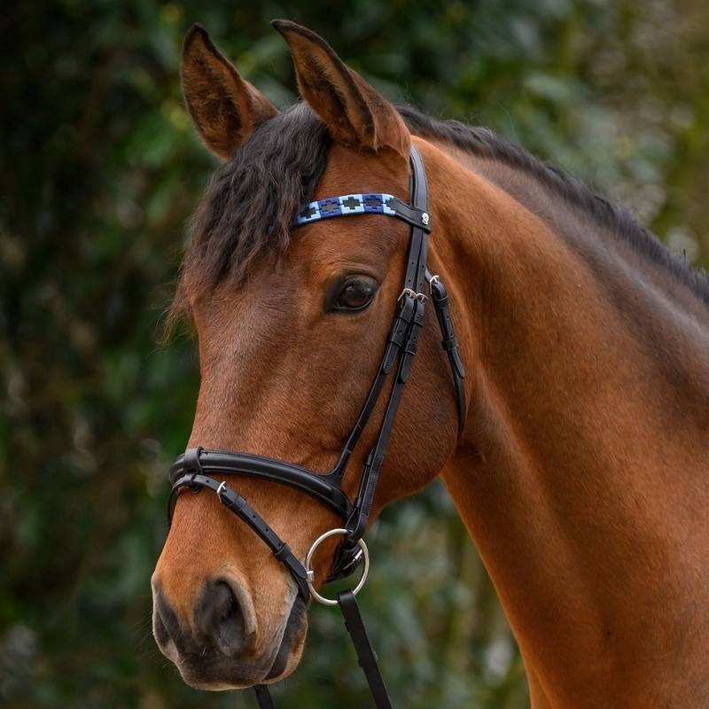 Browband Polo X-Line Black/Blue