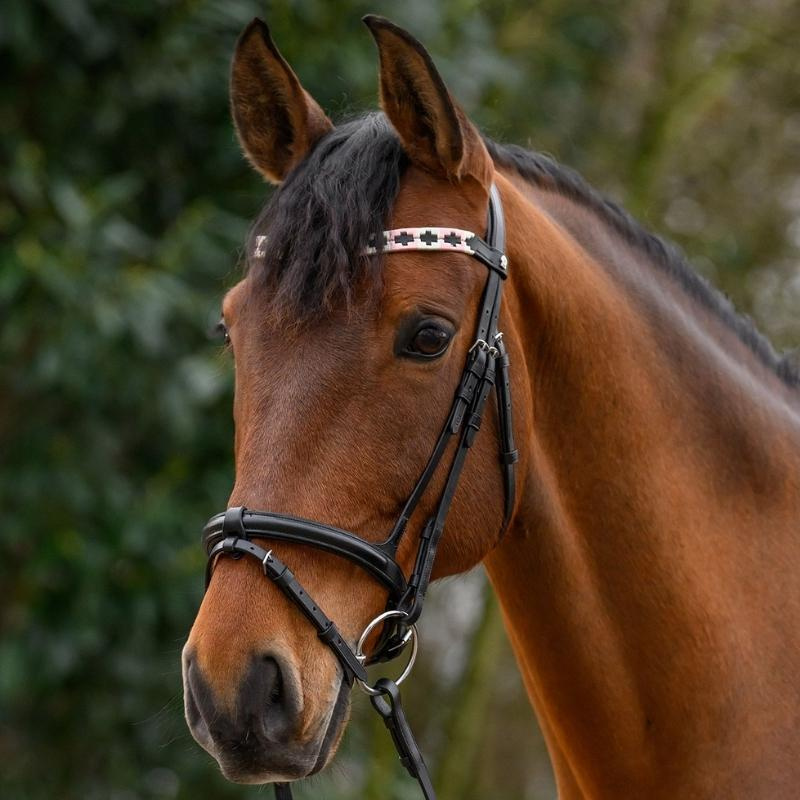 Browband Polo X-Line Black/Pink