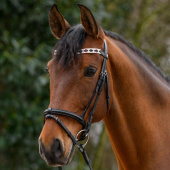 Browband Polo X-Line Black/Pink Browband Polo X-Line Black/Pink
