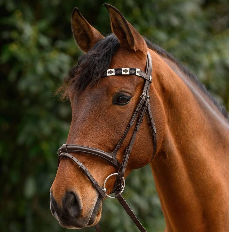 Browband Polo X-Line Brown/Beige