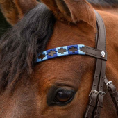 Browband Polo X-Line Brown/Blue Browband Polo X-Line Brown/Blue