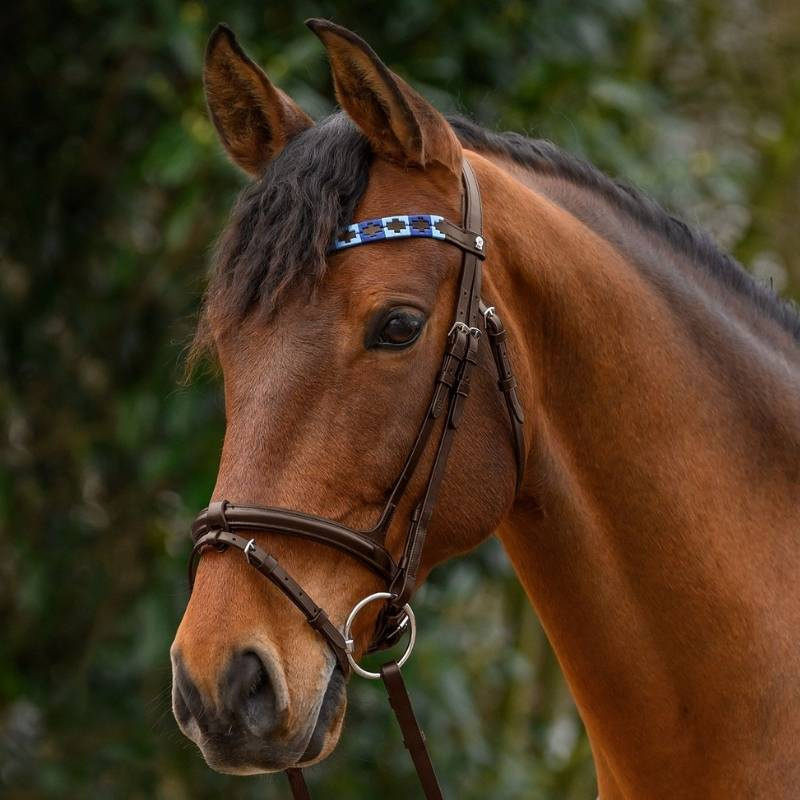 Browband Polo X-Line Brown/Blue