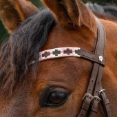 Browband Polo X-Line Light Pink Browband Polo X-Line Light Pink