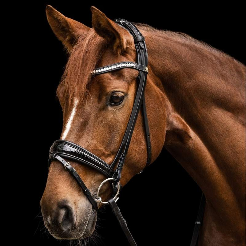 Dressage Bridle Magic Croco S-Line Black