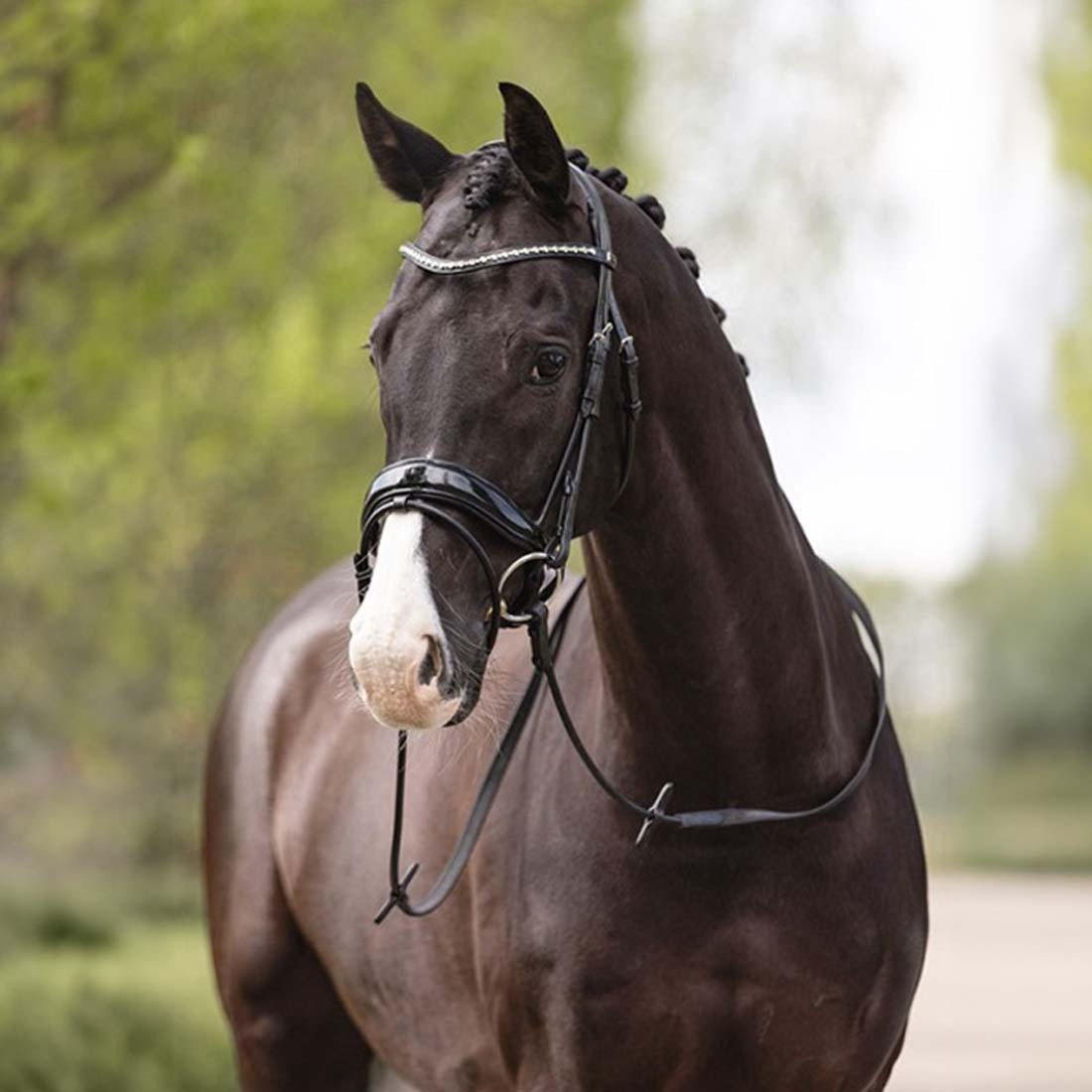 Anatomic Dressage Bridle Comfort Fit Double with Reins Black