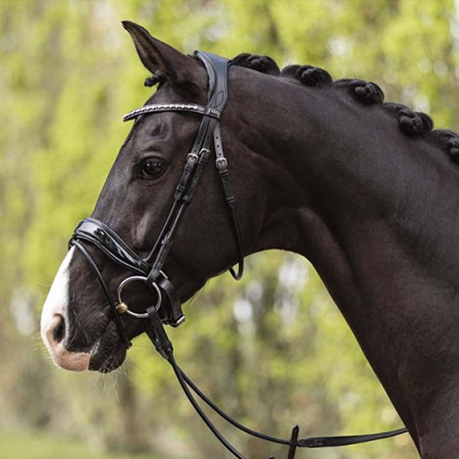 Anatomic Dressage Bridle Comfort Fit Double with Reins Black