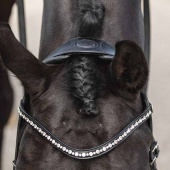 Anatomic Dressage Bridle Comfort Fit Double with Reins Black Anatomic Dressage Bridle Comfort Fit Double with Reins Black