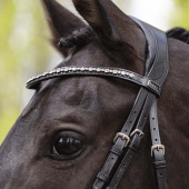 Anatomic Dressage Bridle Comfort Fit Double with Reins Black Anatomic Dressage Bridle Comfort Fit Double with Reins Black