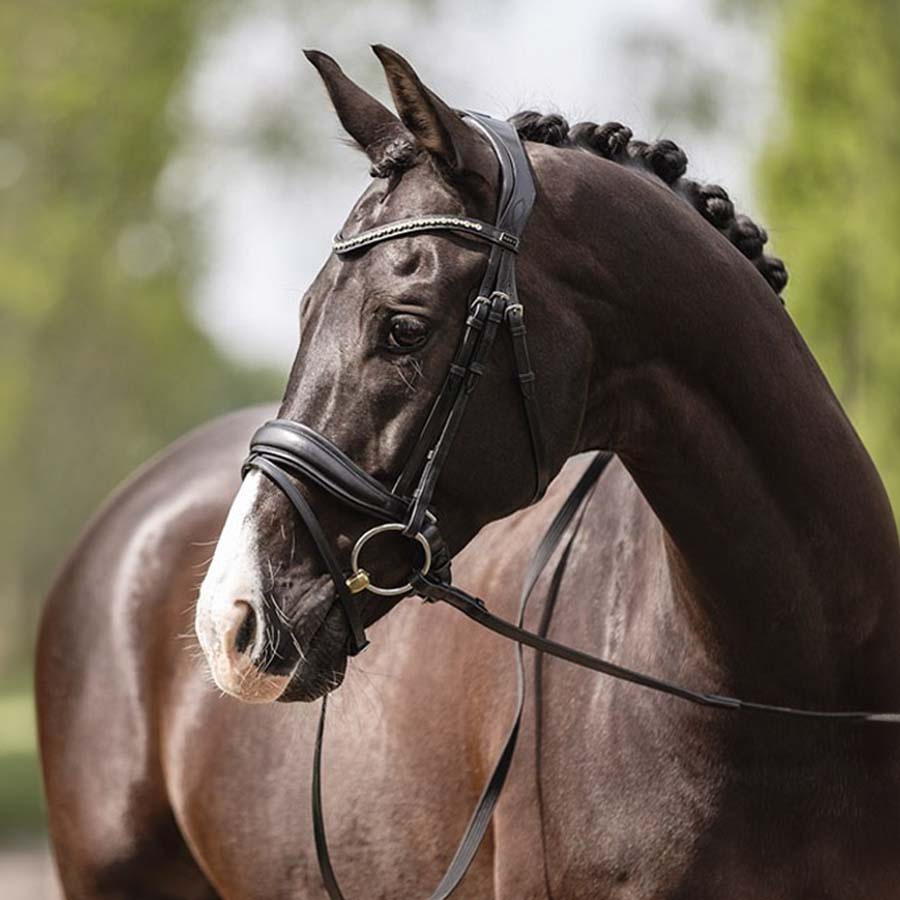 Anatomic Dressage Bridle Comfort Fit Pullback with Reins Black