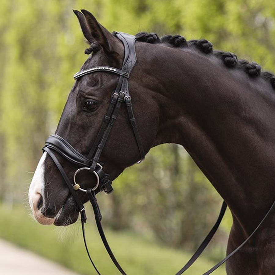 Anatomic Dressage Bridle Comfort Fit Pullback with Reins Black