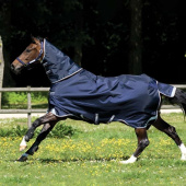 Turnout Rug Rambo Duo Plus 1000D (100g + 300g) Navy/Light Blue/Brown Turnout Rug Rambo Duo Plus 1000D (100g + 300g) Navy/Light Blue/Brown