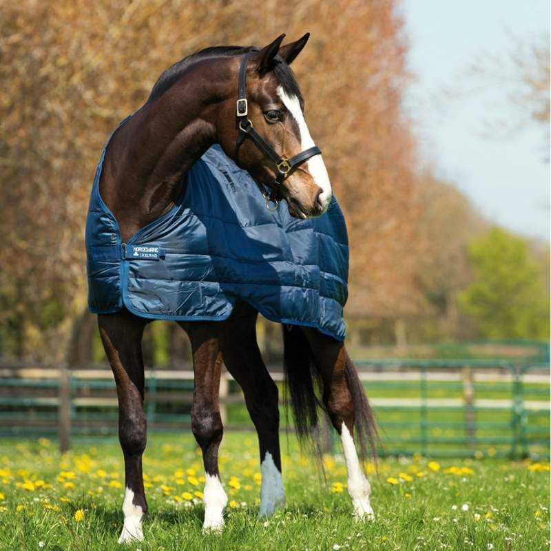 Turnout Rug Rambo Duo Plus 1000D (100g + 300g) Navy/Light Blue/Brown