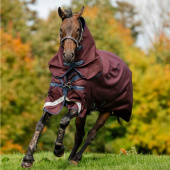 Rain Rug Amigo Plus 1200D 50g Burgundy/Navy/Grey Rain Rug Amigo Plus 1200D 50g Burgundy/Navy/Grey
