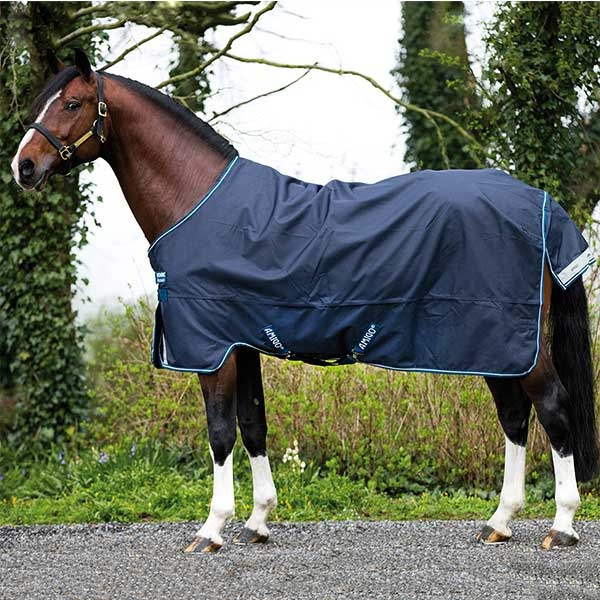 Amigo Bravo 12 Lite G Navy Blue