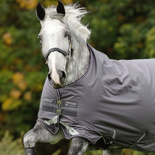 Amigo Bravo 12 Lite G Navy Blue