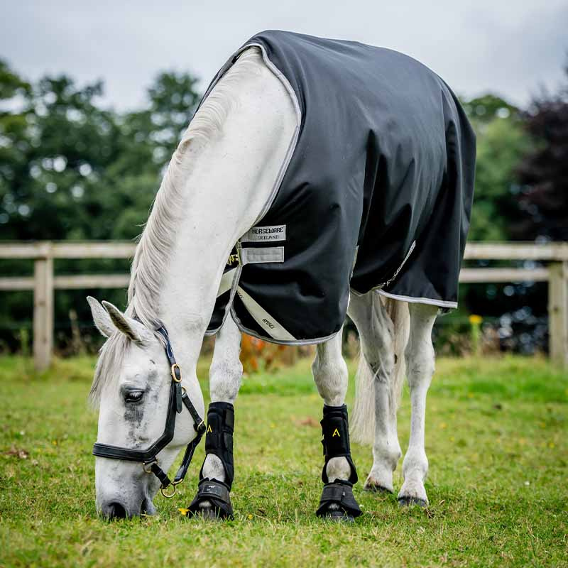 Winter Rug Amigo Bravo 12 Original 250g Black/Gray