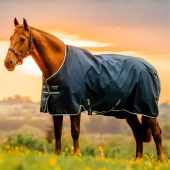 Turnout Rug Amigo Ripstop 900D 100g Witney Navy Turnout Rug Amigo Ripstop 900D 100g Witney Navy