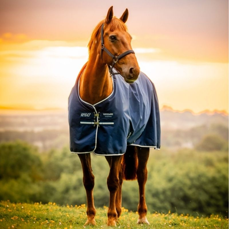 Turnout Rug Amigo Ripstop 900D 100g Witney Navy