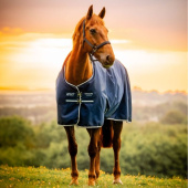 Turnout Rug Amigo Ripstop 900D 100g Witney Navy Turnout Rug Amigo Ripstop 900D 100g Witney Navy