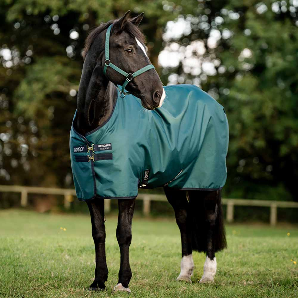 Rain Rug Amigo Ripstop 900D 0g Green/Navy/Silver