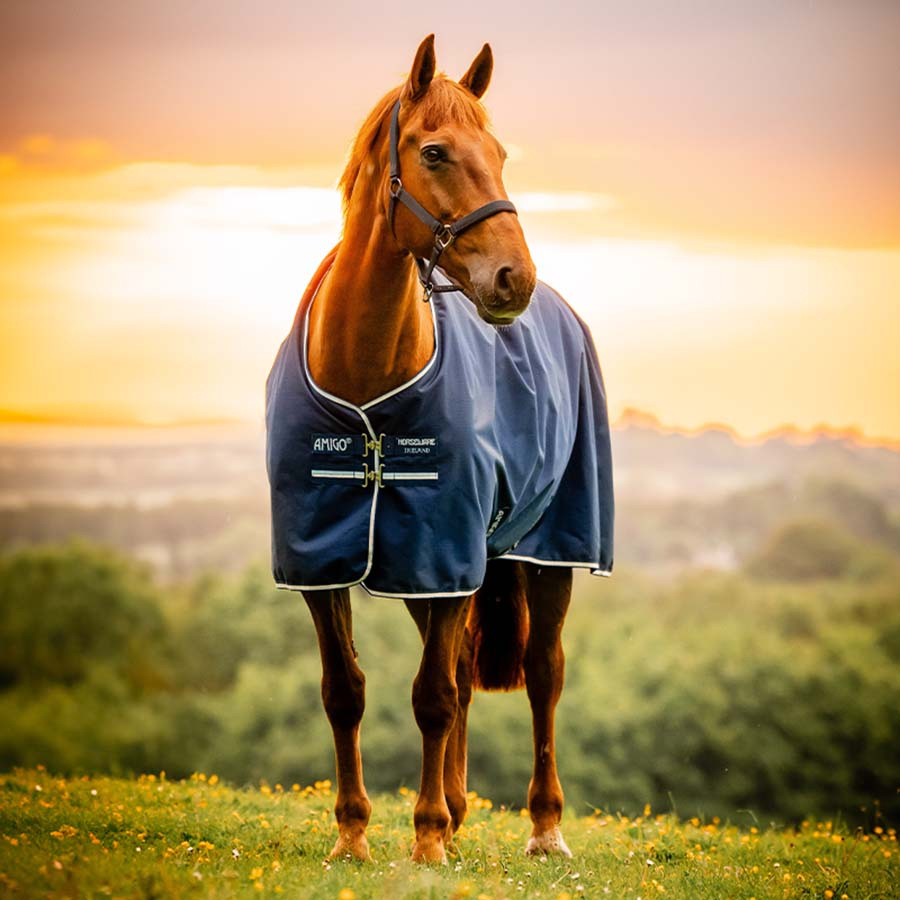 Rain Rug Amigo Ripstop 900D 0g Witney Navy