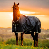 Rain Rug Amigo Ripstop 900D 0g Witney Navy Rain Rug Amigo Ripstop 900D 0g Witney Navy