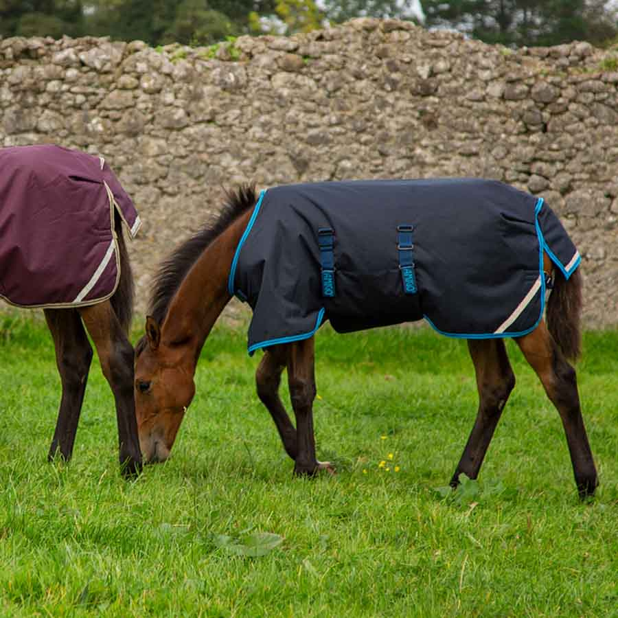 Foal Rug Amigo Ripstop 200g Navy Blue/Light Blue