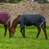 Foal Rug Amigo Ripstop 200g Navy Blue/Light Blue Foal Rug Amigo Ripstop 200g Navy Blue/Light Blue