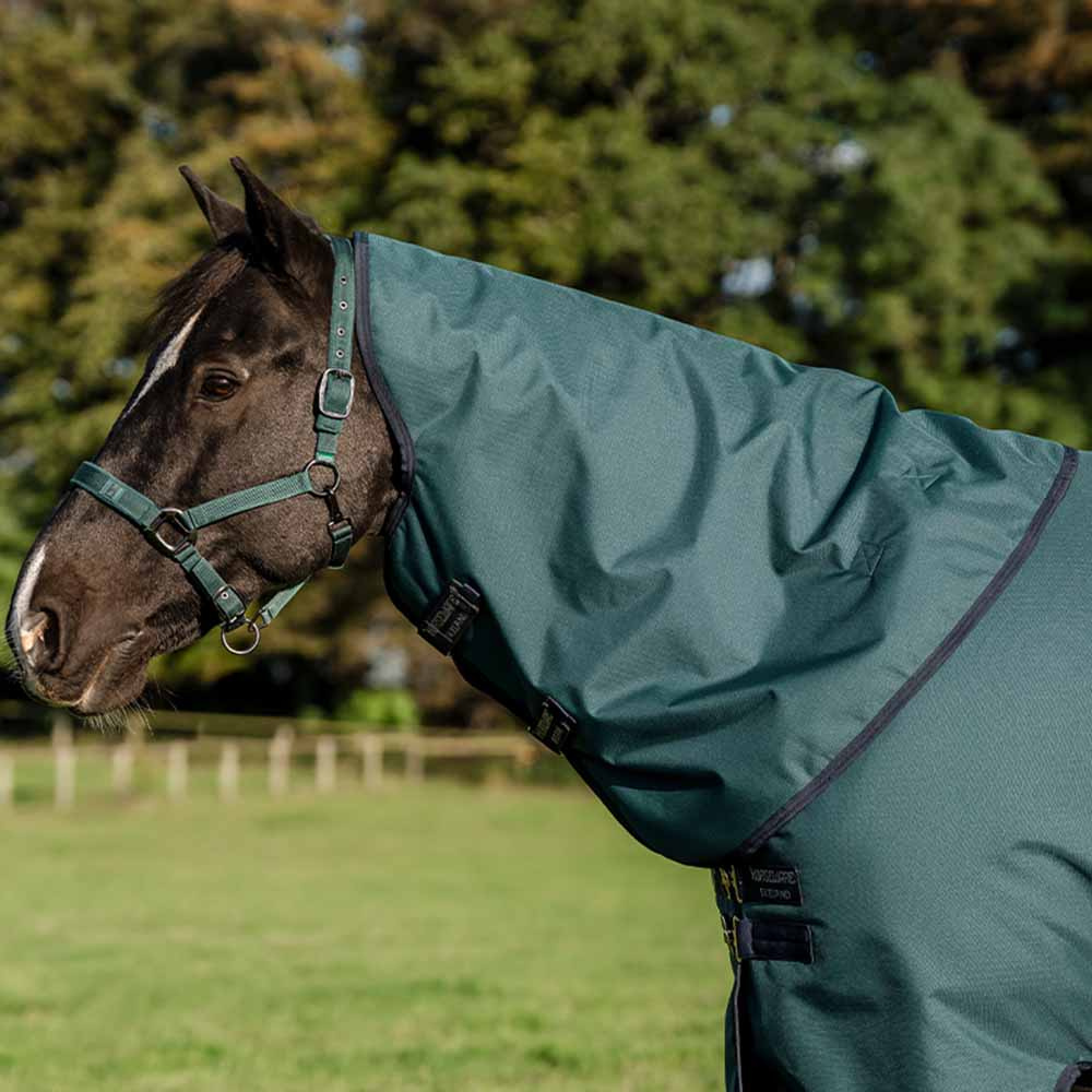 Neck Amigo Ripstop 900D 0g Green/Navy/Silver