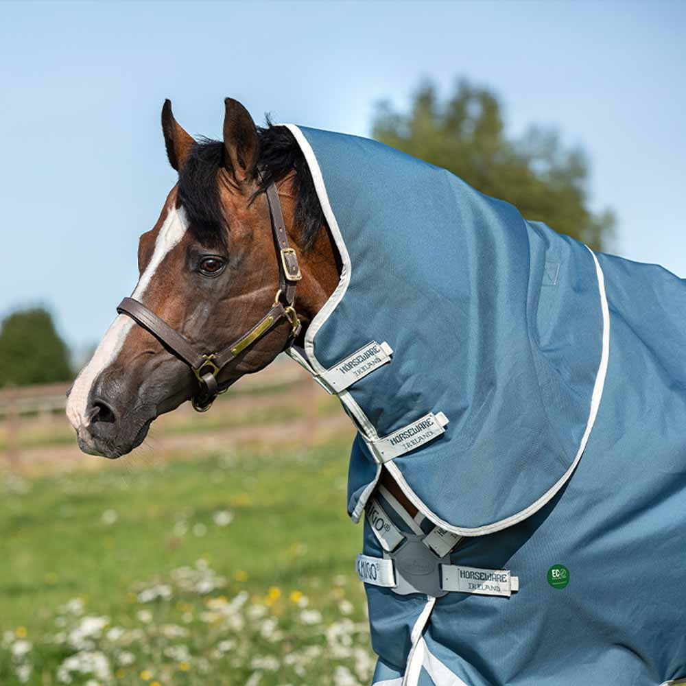 Winter Rug AmEco Bravo 12 Plus Turnout 100g Turquoise