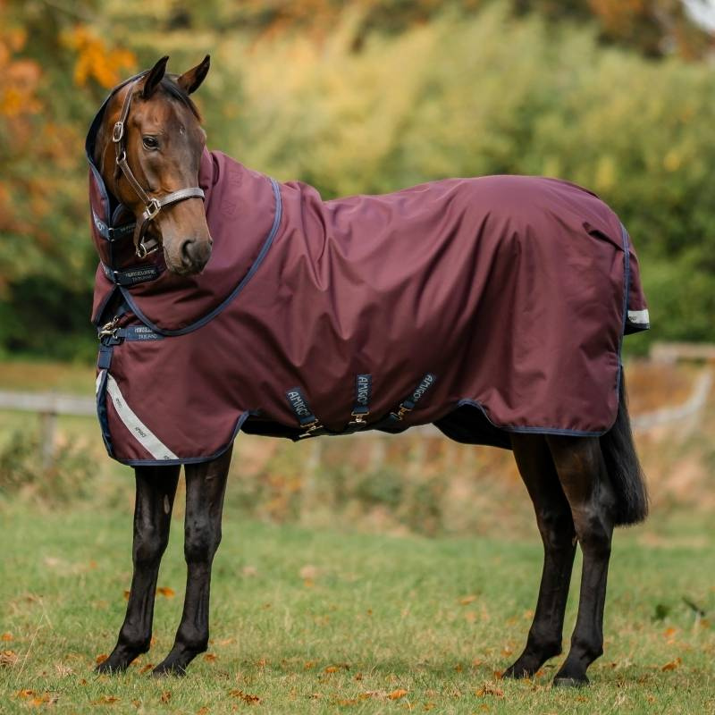 Rain Rug Amigo Plus 1200D 0g Burgundy/Navy/Grey