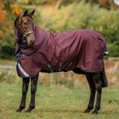 Rain Rug Amigo Plus 1200D 0g Burgundy/Navy/Grey Rain Rug Amigo Plus 1200D 0g Burgundy/Navy/Grey