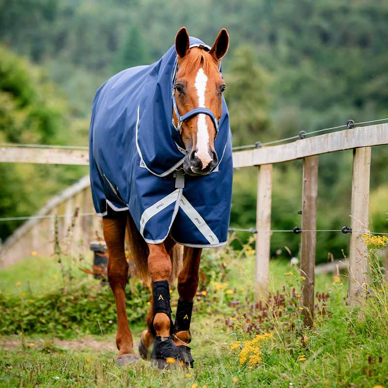 Winter Rug with Hood Amigo Bravo 12 Plus 250g Navy Blue/Gray