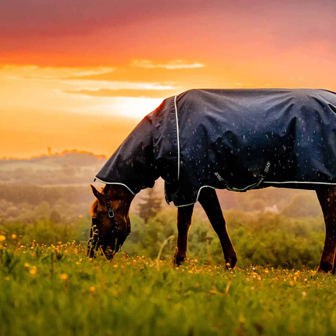 Rain Rug Amigo Ripstop 900D Plus 0g Witney Navy