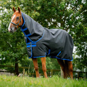 Turnout Rug with Hood Amigo Ripstop 900 Plus 100g Black/Blue Turnout Rug with Hood Amigo Ripstop 900 Plus 100g Black/Blue