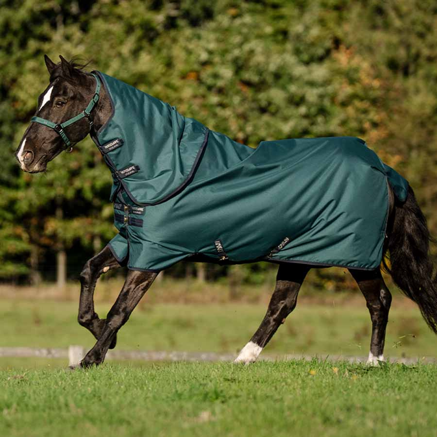 Turnout Rug Amigo Ripstop 900D Plus 100g Green/Navy/Silver