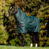 Turnout Rug Amigo Ripstop 900D Plus 100g Green/Navy/Silver Turnout Rug Amigo Ripstop 900D Plus 100g Green/Navy/Silver