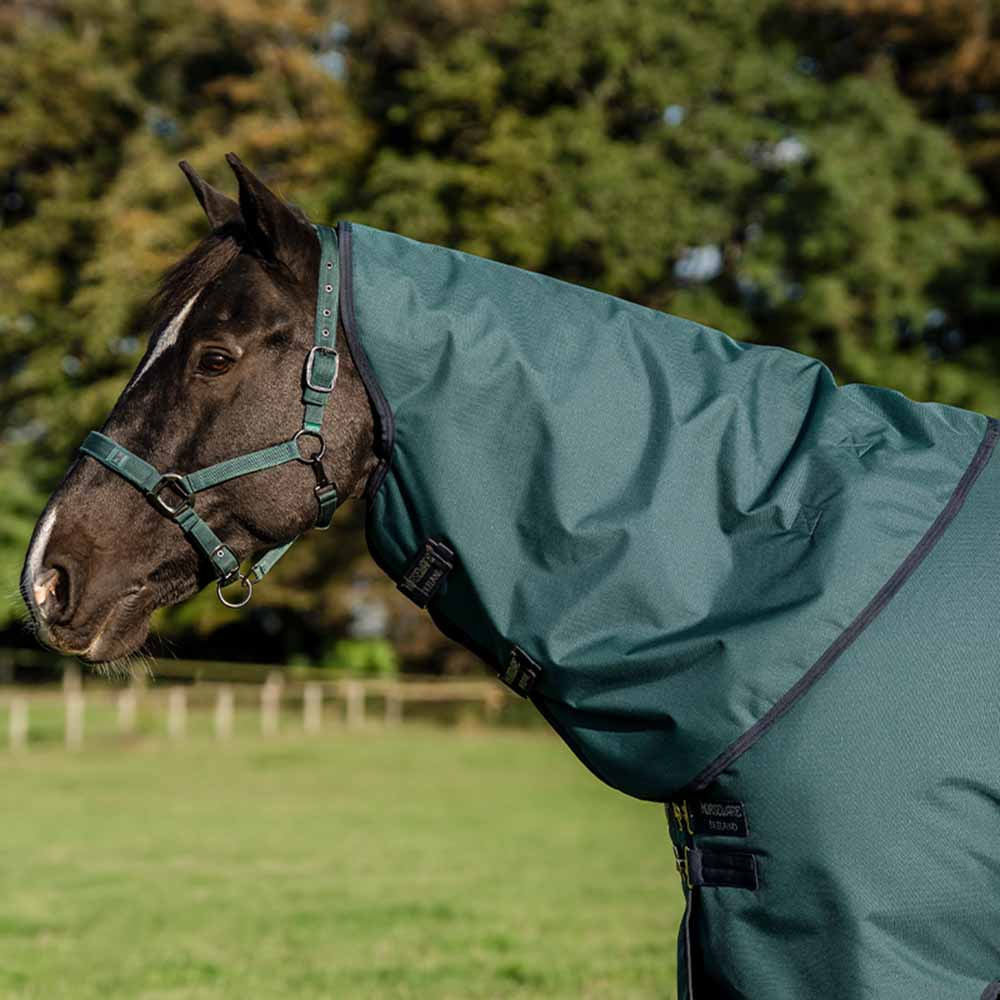 Turnout Rug Amigo Ripstop 900D Plus 100g Green/Navy/Silver