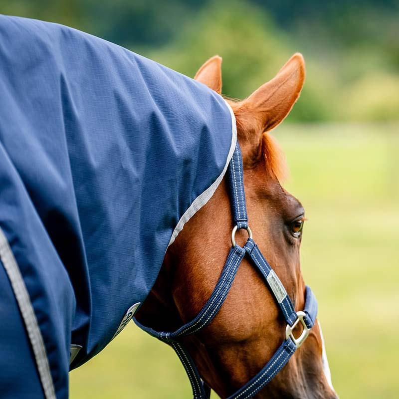 Turnout Rug with Hood Amigo Ripstop 900 Plus 100g Navy Blue/Gray