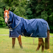 Winter Rug with Hood Amigo Ripstop 900 Plus 200g Navy Blue/Gray Winter Rug with Hood Amigo Ripstop 900 Plus 200g Navy Blue/Gray