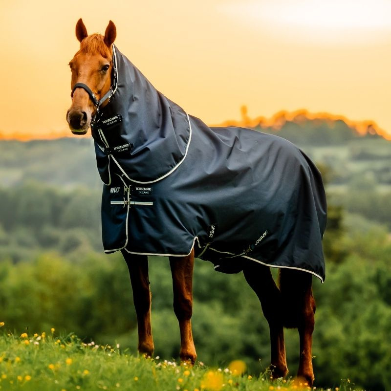 Winter Rug Amigo Ripstop Plus 900D 200g Witney Navy