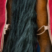 Fleece Rug Amigo Cooler Red/Beige Fleece Rug Amigo Cooler Red/Beige