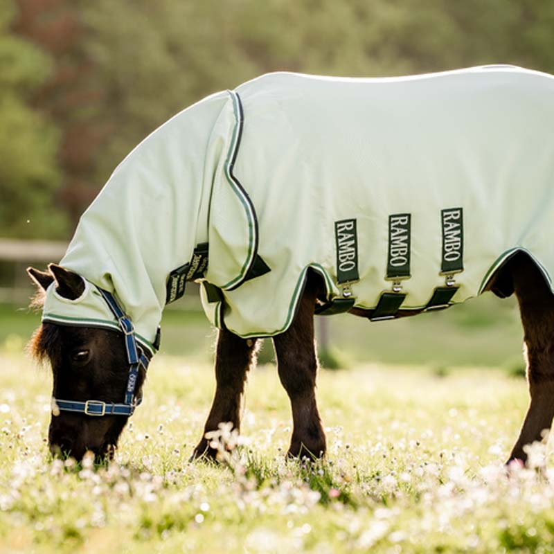 Rambo Hoody Fly & EczeMa Rug With Fly Hood Light Green