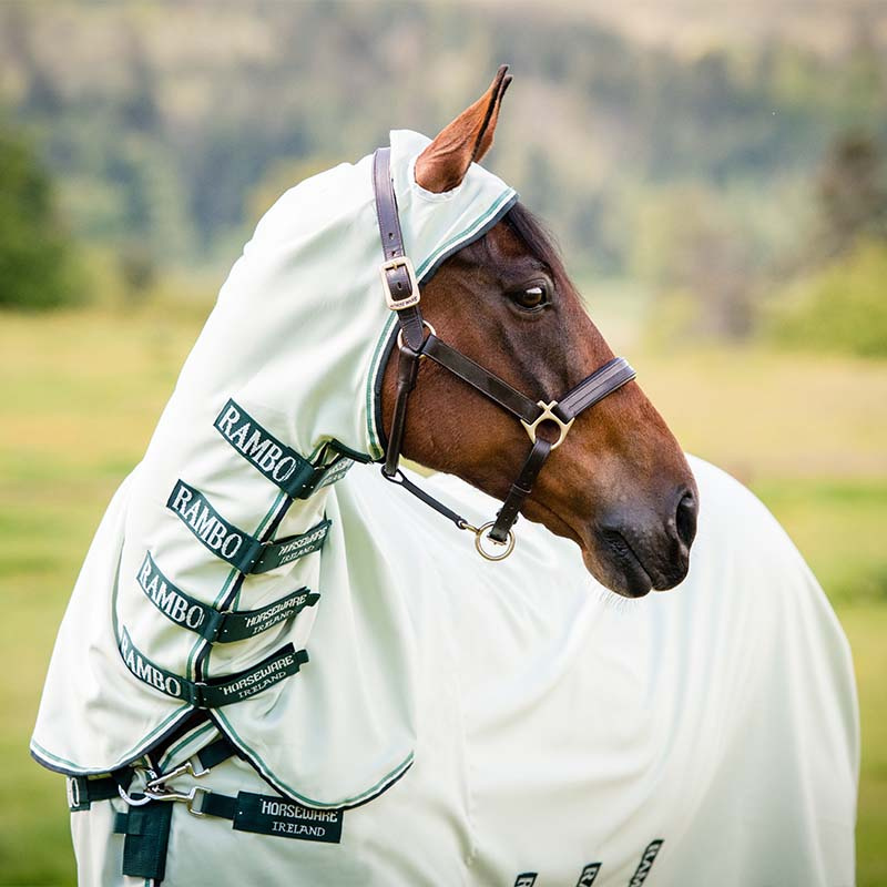 Rambo Hoody Fly & EczeMa Rug With Fly Hood Light Green