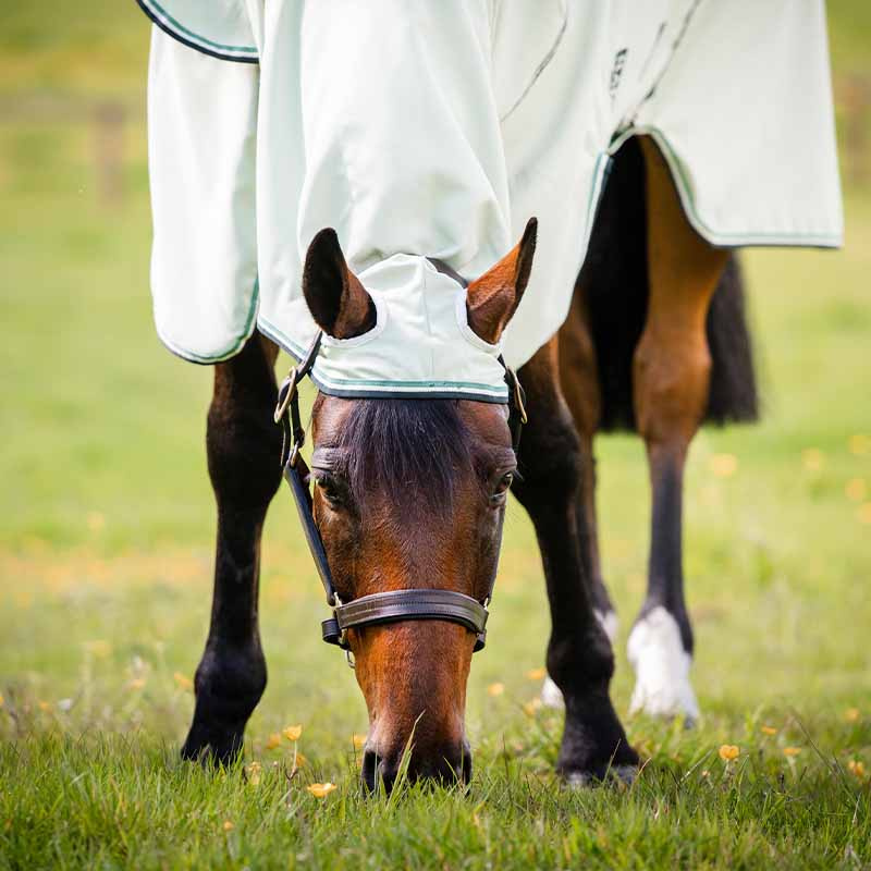 Rambo Hoody Fly & EczeMa Rug With Fly Hood Light Green