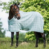 Fly Rug Newmarket Witney Dynasty Fly Rug Newmarket Witney Dynasty